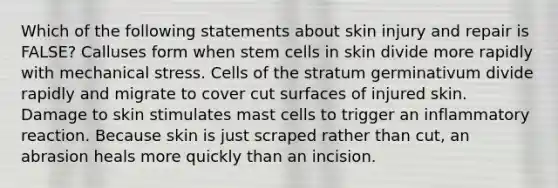 Which of the following statements about skin injury and repair is FALSE? Calluses form when stem cells in skin divide more rapidly with mechanical stress. Cells of the stratum germinativum divide rapidly and migrate to cover cut surfaces of injured skin. Damage to skin stimulates mast cells to trigger an inflammatory reaction. Because skin is just scraped rather than cut, an abrasion heals more quickly than an incision.