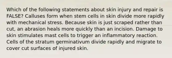 Which of the following statements about skin injury and repair is FALSE? Calluses form when stem cells in skin divide more rapidly with mechanical stress. Because skin is just scraped rather than cut, an abrasion heals more quickly than an incision. Damage to skin stimulates mast cells to trigger an inflammatory reaction. Cells of the stratum germinativum divide rapidly and migrate to cover cut surfaces of injured skin.