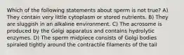 Which of the following statements about sperm is not true? A) They contain very little cytoplasm or stored nutrients. B) They are sluggish in an alkaline environment. C) The acrosome is produced by the Golgi apparatus and contains hydrolytic enzymes. D) The sperm midpiece consists of Golgi bodies spiraled tightly around the contractile filaments of the tail