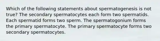 Which of the following statements about spermatogenesis is not true? The secondary spermatocytes each form two spermatids. Each spermatid forms two sperm. The spermatogonium forms the primary spermatocyte. The primary spermatocyte forms two secondary spermatocytes.