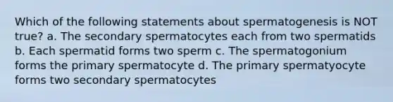 Which of the following statements about spermatogenesis is NOT true? a. The secondary spermatocytes each from two spermatids b. Each spermatid forms two sperm c. The spermatogonium forms the primary spermatocyte d. The primary spermatyocyte forms two secondary spermatocytes