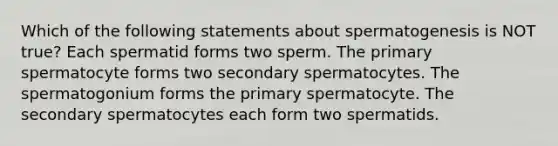 Which of the following statements about spermatogenesis is NOT true? Each spermatid forms two sperm. The primary spermatocyte forms two secondary spermatocytes. The spermatogonium forms the primary spermatocyte. The secondary spermatocytes each form two spermatids.