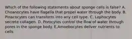 Which of the following statements about sponge cells is false? A. Choanocytes have flagella that propel water through the body. B. Pinacocytes can transform into any cell type. C. Lophocytes secrete collagen. D. Porocytes control the flow of water through pores in the sponge body. E.Amoebocytes deliver nutrients to cells