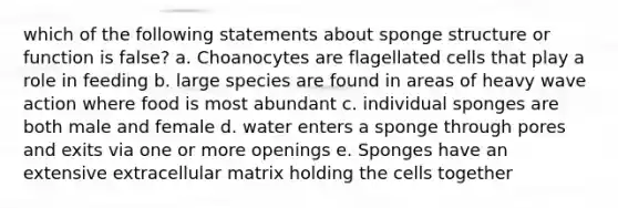 which of the following statements about sponge structure or function is false? a. Choanocytes are flagellated cells that play a role in feeding b. large species are found in areas of heavy wave action where food is most abundant c. individual sponges are both male and female d. water enters a sponge through pores and exits via one or more openings e. Sponges have an extensive extracellular matrix holding the cells together