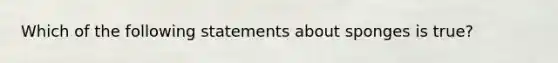 Which of the following statements about sponges is true?