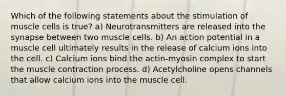 Which of the following statements about the stimulation of muscle cells is true? a) Neurotransmitters are released into the synapse between two muscle cells. b) An action potential in a muscle cell ultimately results in the release of calcium ions into the cell. c) Calcium ions bind the actin-myosin complex to start the muscle contraction process. d) Acetylcholine opens channels that allow calcium ions into the muscle cell.