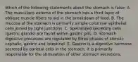 Which of the following statements about the stomach is false: A. The muscularis externa of the stomach has a third layer of oblique muscle fibers to aid in the breakdown of food. B. The mucosa of the stomach is primarily simple columnar epithelial cells joined by tight junctions. C. Specialized secretory cells (gastric glands) are found within gastric pits. D. Stomach digestive processes are regulated by three phases of stimuli: cephalic, gastric and intestinal. E. Gastrin is a digestive hormone secreted by parietal cells in the stomach; it is primarily responsible for the stimulation of other stomach secretions.