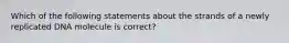 Which of the following statements about the strands of a newly replicated DNA molecule is correct?