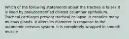 Which of the following statements about the trachea is false? It is lined by pseudostratified ciliated columnar epithelium. Tracheal cartilages prevent tracheal collapse. It contains many mucous glands. It alters its diameter in response to the autonomic nervous system. It is completely wrapped in smooth muscle