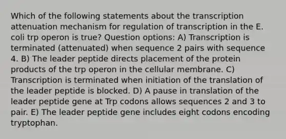 Which of the following statements about the transcription attenuation mechanism for regulation of transcription in the E. coli trp operon is true? Question options: A) Transcription is terminated (attenuated) when sequence 2 pairs with sequence 4. B) The leader peptide directs placement of the protein products of the trp operon in the cellular membrane. C) Transcription is terminated when initiation of the translation of the leader peptide is blocked. D) A pause in translation of the leader peptide gene at Trp codons allows sequences 2 and 3 to pair. E) The leader peptide gene includes eight codons encoding tryptophan.