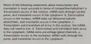 Which of the following statements about transcription and translation is most accurate in terms of compartmentalization? a. Transcription occurs in the nucleus, mRNA exits through nuclear pores, and translation occurs in the cytoplasm. b. Transcription occurs in the nucleus, mRNA exits via ribosomal subunit attachment, and translation occurs in the cytoplasm. c. Transcription and translation all occur in the nucleus; the mRNA does not need to exit. d .Transcription and translation both occur in the cytoplasm; mRNA exits via voltage gated channels. e. Transcription occurs in the nucleolus, mRNA exits through the pores, and translation occurs in the cytoplasm.