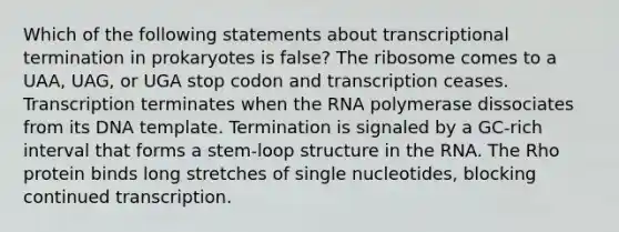 Which of the following statements about transcriptional termination in prokaryotes is false? The ribosome comes to a UAA, UAG, or UGA stop codon and transcription ceases. Transcription terminates when the RNA polymerase dissociates from its DNA template. Termination is signaled by a GC-rich interval that forms a stem-loop structure in the RNA. The Rho protein binds long stretches of single nucleotides, blocking continued transcription.