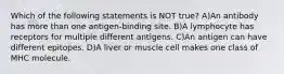 Which of the following statements is NOT true? A)An antibody has more than one antigen-binding site. B)A lymphocyte has receptors for multiple different antigens. C)An antigen can have different epitopes. D)A liver or muscle cell makes one class of MHC molecule.