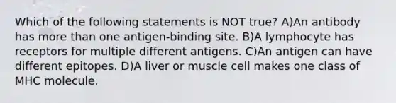 Which of the following statements is NOT true? A)An antibody has more than one antigen-binding site. B)A lymphocyte has receptors for multiple different antigens. C)An antigen can have different epitopes. D)A liver or muscle cell makes one class of MHC molecule.