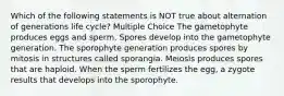 Which of the following statements is NOT true about alternation of generations life cycle? Multiple Choice The gametophyte produces eggs and sperm. Spores develop into the gametophyte generation. The sporophyte generation produces spores by mitosis in structures called sporangia. Meiosis produces spores that are haploid. When the sperm fertilizes the egg, a zygote results that develops into the sporophyte.