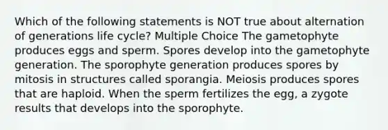 Which of the following statements is NOT true about alternation of generations life cycle? Multiple Choice The gametophyte produces eggs and sperm. Spores develop into the gametophyte generation. The sporophyte generation produces spores by mitosis in structures called sporangia. Meiosis produces spores that are haploid. When the sperm fertilizes the egg, a zygote results that develops into the sporophyte.