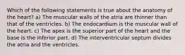 Which of the following statements is true about the anatomy of the heart? a) The muscular walls of the atria are thinner than that of the ventricles. b) The endocardium is the muscular wall of the heart. c) The apex is the superior part of the heart and the base is the inferior part. d) The interventricular septum divides the atria and the ventricles.