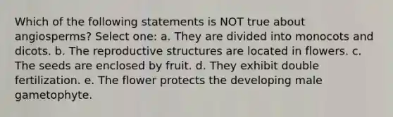Which of the following statements is NOT true about angiosperms? Select one: a. They are divided into monocots and dicots. b. The reproductive structures are located in flowers. c. The seeds are enclosed by fruit. d. They exhibit double fertilization. e. The flower protects the developing male gametophyte.