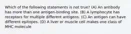 Which of the following statements is not true? (A) An antibody has more than one antigen-binding site. (B) A lymphocyte has receptors for multiple different antigens. (C) An antigen can have different epitopes. (D) A liver or muscle cell makes one class of MHC molecule