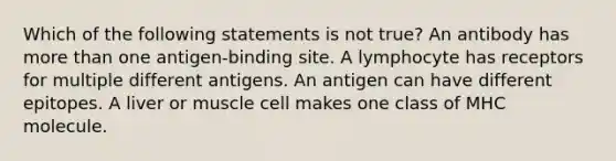 Which of the following statements is not true? An antibody has more than one antigen-binding site. A lymphocyte has receptors for multiple different antigens. An antigen can have different epitopes. A liver or muscle cell makes one class of MHC molecule.