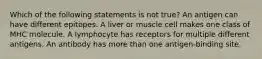 Which of the following statements is not true? An antigen can have different epitopes. A liver or muscle cell makes one class of MHC molecule. A lymphocyte has receptors for multiple different antigens. An antibody has more than one antigen-binding site.