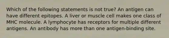 Which of the following statements is not true? An antigen can have different epitopes. A liver or muscle cell makes one class of MHC molecule. A lymphocyte has receptors for multiple different antigens. An antibody has <a href='https://www.questionai.com/knowledge/keWHlEPx42-more-than' class='anchor-knowledge'>more than</a> one antigen-binding site.