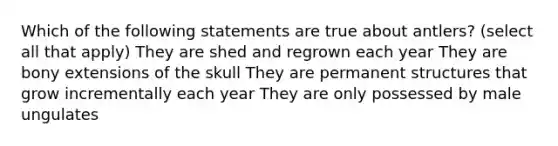 Which of the following statements are true about antlers? (select all that apply) They are shed and regrown each year They are bony extensions of the skull They are permanent structures that grow incrementally each year They are only possessed by male ungulates