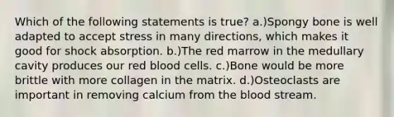 Which of the following statements is true? a.)Spongy bone is well adapted to accept stress in many directions, which makes it good for shock absorption. b.)The red marrow in the medullary cavity produces our red blood cells. c.)Bone would be more brittle with more collagen in the matrix. d.)Osteoclasts are important in removing calcium from the blood stream.