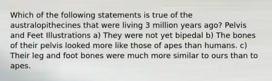 Which of the following statements is true of the australopithecines that were living 3 million years ago? Pelvis and Feet Illustrations a) They were not yet bipedal b) The bones of their pelvis looked more like those of apes than humans. c) Their leg and foot bones were much more similar to ours than to apes.