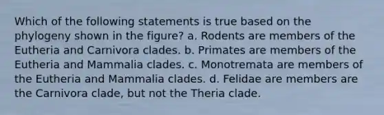 Which of the following statements is true based on the phylogeny shown in the figure? a. Rodents are members of the Eutheria and Carnivora clades. b. Primates are members of the Eutheria and Mammalia clades. c. Monotremata are members of the Eutheria and Mammalia clades. d. Felidae are members are the Carnivora clade, but not the Theria clade.