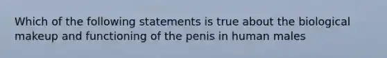 Which of the following statements is true about the biological makeup and functioning of the penis in human males