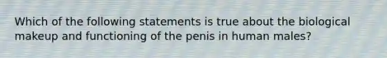 Which of the following statements is true about the biological makeup and functioning of the penis in human males?