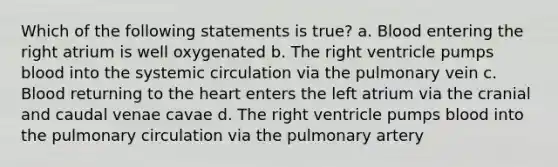 Which of the following statements is true? a. Blood entering the right atrium is well oxygenated b. The right ventricle pumps blood into the systemic circulation via the pulmonary vein c. Blood returning to the heart enters the left atrium via the cranial and caudal venae cavae d. The right ventricle pumps blood into the pulmonary circulation via the pulmonary artery