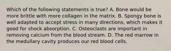 Which of the following statements is true? A. Bone would be more brittle with more collagen in the matrix. B. Spongy bone is well adapted to accept stress in many directions, which makes it good for shock absorption. C. Osteoclasts are important in removing calcium from the blood stream. D. The red marrow in the medullary cavity produces our red blood cells.