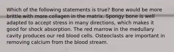 Which of the following statements is true? Bone would be more brittle with more collagen in the matrix. Spongy bone is well adapted to accept stress in many directions, which makes it good for shock absorption. The red marrow in the medullary cavity produces our red blood cells. Osteoclasts are important in removing calcium from the blood stream.