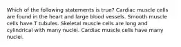 Which of the following statements is true? Cardiac muscle cells are found in the heart and large blood vessels. Smooth muscle cells have T tubules. Skeletal muscle cells are long and cylindrical with many nuclei. Cardiac muscle cells have many nuclei.