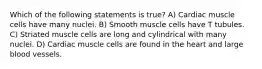 Which of the following statements is true? A) Cardiac muscle cells have many nuclei. B) Smooth muscle cells have T tubules. C) Striated muscle cells are long and cylindrical with many nuclei. D) Cardiac muscle cells are found in the heart and large blood vessels.