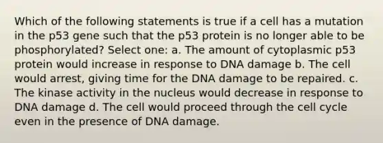 Which of the following statements is true if a cell has a mutation in the p53 gene such that the p53 protein is no longer able to be phosphorylated? Select one: a. The amount of cytoplasmic p53 protein would increase in response to DNA damage b. The cell would arrest, giving time for the DNA damage to be repaired. c. The kinase activity in the nucleus would decrease in response to DNA damage d. The cell would proceed through the cell cycle even in the presence of DNA damage.