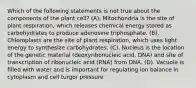 Which of the following statements is not true about the components of the plant cell? (A). Mitochondria is the site of plant respiration, which releases chemical energy stored as carbohydrates to produce adenosine triphosphate. (B). Chloroplasts are the site of plant respiration, which uses light energy to synthesize carbohydrates. (C). Nucleus is the location of the genetic material (deoxyribonucleic acid, DNA) and site of transcription of ribonucleic acid (RNA) from DNA. (D). Vacuole is filled with water and is important for regulating ion balance in cytoplasm and cell turgor pressure