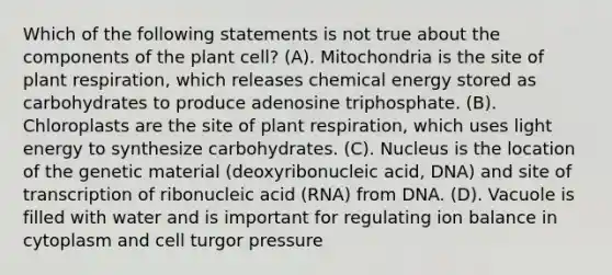 Which of the following statements is not true about the components of the plant cell? (A). Mitochondria is the site of plant respiration, which releases chemical energy stored as carbohydrates to produce adenosine triphosphate. (B). Chloroplasts are the site of plant respiration, which uses light energy to synthesize carbohydrates. (C). Nucleus is the location of the genetic material (deoxyribonucleic acid, DNA) and site of transcription of ribonucleic acid (RNA) from DNA. (D). Vacuole is filled with water and is important for regulating ion balance in cytoplasm and cell turgor pressure