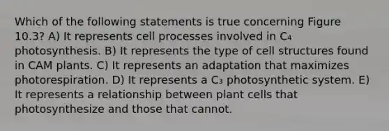 Which of the following statements is true concerning Figure 10.3? A) It represents cell processes involved in C₄ photosynthesis. B) It represents the type of cell structures found in CAM plants. C) It represents an adaptation that maximizes photorespiration. D) It represents a C₃ photosynthetic system. E) It represents a relationship between plant cells that photosynthesize and those that cannot.