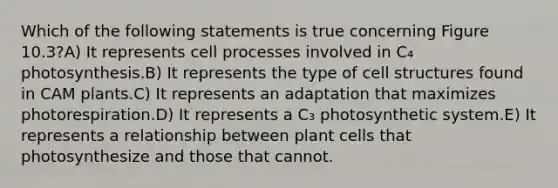 Which of the following statements is true concerning Figure 10.3?A) It represents cell processes involved in C₄ photosynthesis.B) It represents the type of cell structures found in CAM plants.C) It represents an adaptation that maximizes photorespiration.D) It represents a C₃ photosynthetic system.E) It represents a relationship between plant cells that photosynthesize and those that cannot.