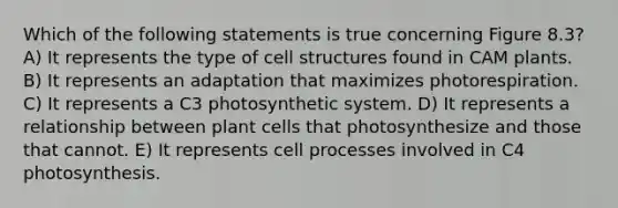 Which of the following statements is true concerning Figure 8.3? A) It represents the type of cell structures found in CAM plants. B) It represents an adaptation that maximizes photorespiration. C) It represents a C3 photosynthetic system. D) It represents a relationship between plant cells that photosynthesize and those that cannot. E) It represents cell processes involved in C4 photosynthesis.