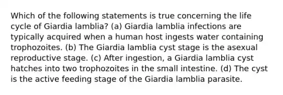 Which of the following statements is true concerning the life cycle of Giardia lamblia? (a) Giardia lamblia infections are typically acquired when a human host ingests water containing trophozoites. (b) The Giardia lamblia cyst stage is the asexual reproductive stage. (c) After ingestion, a Giardia lamblia cyst hatches into two trophozoites in the small intestine. (d) The cyst is the active feeding stage of the Giardia lamblia parasite.