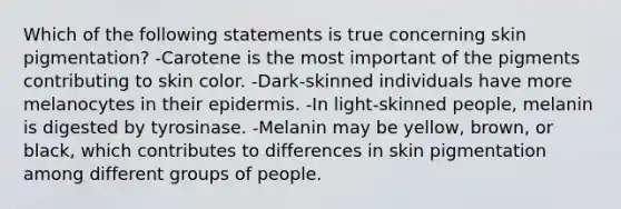 Which of the following statements is true concerning skin pigmentation? -Carotene is the most important of the pigments contributing to skin color. -Dark-skinned individuals have more melanocytes in their epidermis. -In light-skinned people, melanin is digested by tyrosinase. -Melanin may be yellow, brown, or black, which contributes to differences in skin pigmentation among different groups of people.