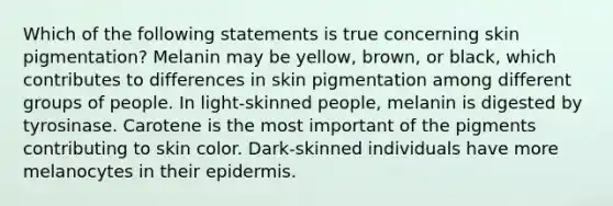 Which of the following statements is true concerning skin pigmentation? Melanin may be yellow, brown, or black, which contributes to differences in skin pigmentation among different groups of people. In light-skinned people, melanin is digested by tyrosinase. Carotene is the most important of the pigments contributing to skin color. Dark-skinned individuals have more melanocytes in their epidermis.