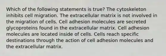 Which of the following statements is true? The cytoskeleton inhibits cell migration. The extracellular matrix is not involved in the migration of cells. Cell adhesion molecules are secreted glycoproteins found in the extracellular matrix. Cell adhesion molecules are located inside of cells. Cells reach specific destinations through the action of cell adhesion molecules and the extracellular matrix.