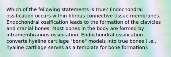 Which of the following statements is true? Endochondral ossification occurs within fibrous connective tissue membranes. Endochondral ossification leads to the formation of the clavicles and cranial bones. Most bones in the body are formed by intramembranous ossification. Endochondral ossification converts hyaline cartilage "bone" models into true bones (i.e., hyaline cartilage serves as a template for bone formation).