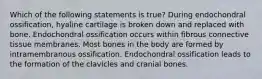 Which of the following statements is true? During endochondral ossification, hyaline cartilage is broken down and replaced with bone. Endochondral ossification occurs within fibrous connective tissue membranes. Most bones in the body are formed by intramembranous ossification. Endochondral ossification leads to the formation of the clavicles and cranial bones.