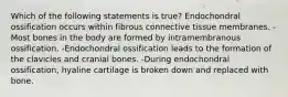 Which of the following statements is true? Endochondral ossification occurs within fibrous connective tissue membranes. -Most bones in the body are formed by intramembranous ossification. -Endochondral ossification leads to the formation of the clavicles and cranial bones. -During endochondral ossification, hyaline cartilage is broken down and replaced with bone.